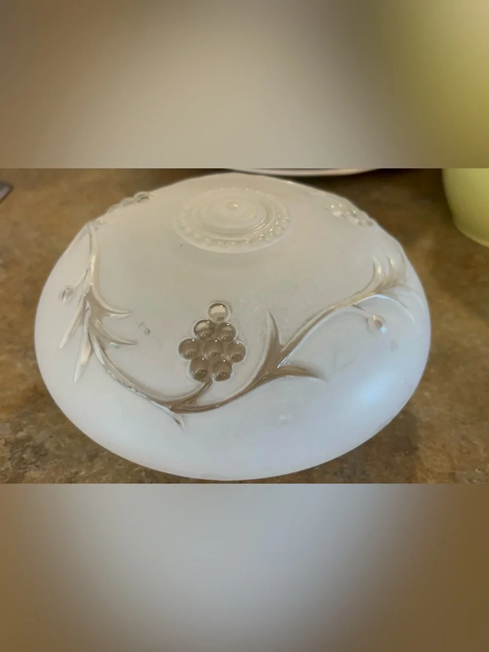 Vintage Frosted Floral and Vine Ceiling Light Fixture Cover